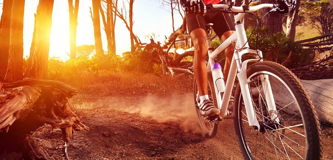 Beginner’s Guide To Mountain Biking Beginner’s Guide To Mountain Biking