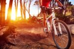 Beginner’s Guide To Mountain Biking Beginner’s Guide To Mountain Biking